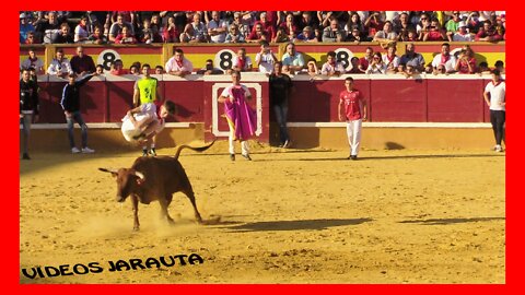 TUDELA ( NAVARRA ) MATINAL 6º ENCIERRO VACAS PLAZA ( SABADO 30 JULIO 2022 ) MACUA