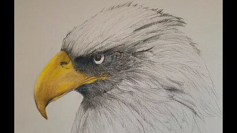 Drawing an Eagle - time-lapse.