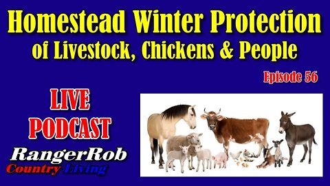 Homestead Winter Protection of Livestock, Chickens & People | RangerRob Podcast 56