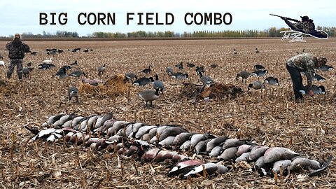 Hunting a MASSIVE COMBO FEED in Southern Manitoba