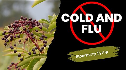 Home Remedy For Cold And Flu | Elderberry Syrup with Astragalus