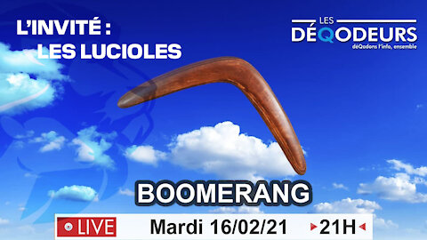 BOOMERANG - L'invité ( Live du 16 fevrier )