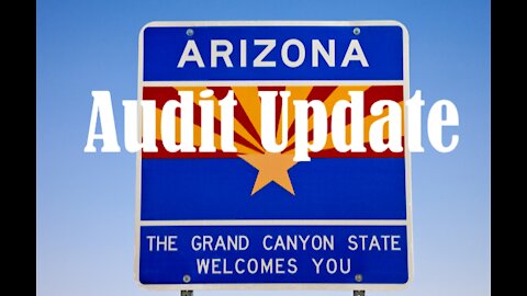 Arizona State Senate hears preliminary audit report