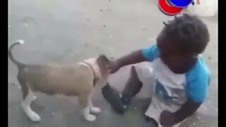 The child who was bitten by the dog