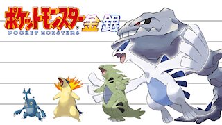 Pokemon Second Generation No. 152-251 | Height Comparison