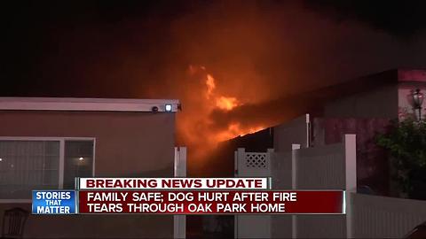 Family flees Oak Park house fire; dog injured