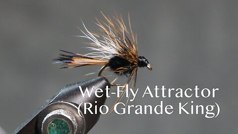 A wet-fly attractor Fling & Puterbaugh call Rio Grande King (23/30)