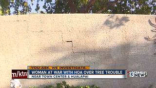 Woman at war with HOA over tree troubles