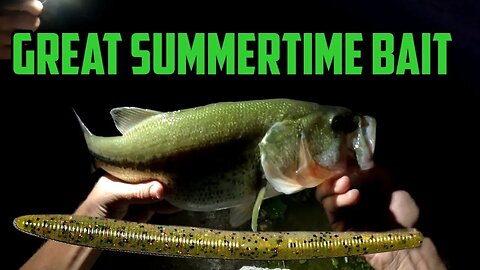 Simple But DEADLY BAIT For Largemouth Bass in The Summer Months