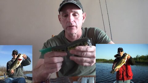 Swimbait Tips and Tricks to Catch More and Bigger Bass