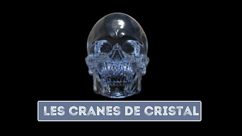 Alien Theory / Les Cranes de Cristal