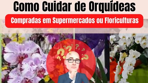 COMO CUIDAR DE ORQUÍDEAS COMPRADAS EM SUPERMERCADOS OU FLORICULTURAS | DICAS SIMPLES E PRÁTICAS