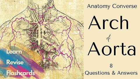 Arch of Aorta Anatomy Flashcards | 8 Questions and Answers