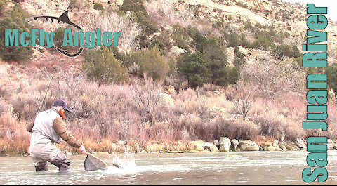 Winter MIDGE Fly Fishing On the San Juan River Tailwater for Trout - McFly Angler Episode 3