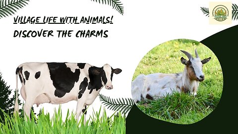 Discover the Charms of Village Life with Animals!