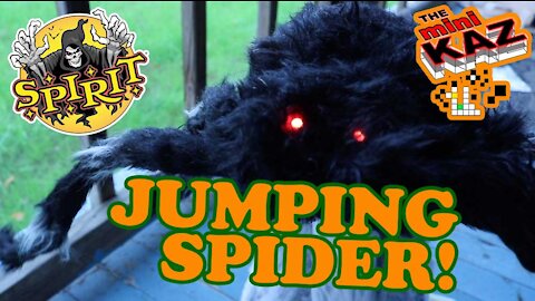 Jumping Spider from Spirit Halloween