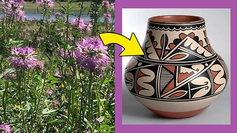 How To Make Paint From Rocky Mountain Bee Plant