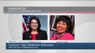 Primary preview: Congressional races