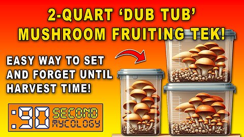 Modified 2-quart 'Dub Tub' Mushroom Fruiting Technique \\ EASY FRUITS!