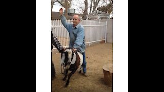 Randie Riding a Goat