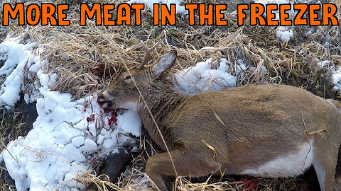 More Meat In The Freezer