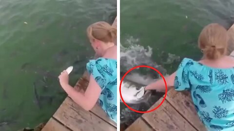 Girl screams loudly when fish swallows her hand