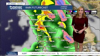 ABC 10News Pinpoint Weather with Meteorologist Leah Pezzetti