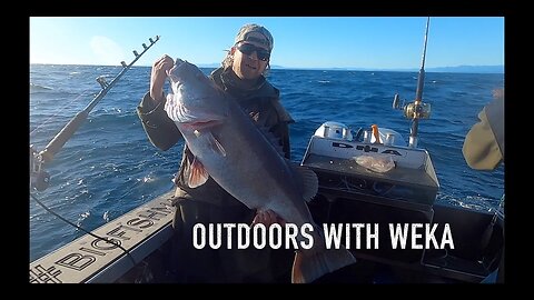 Offshore fishing with Weka in the Hokitika Trench New Zealand South Island