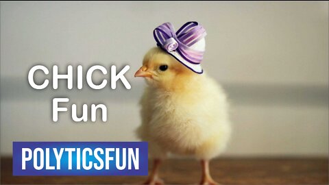 Chick Dancing- Funny Chick Dance