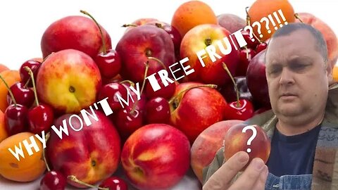 Top 5 reasons my fruit trees won't produce fruit in East Tennessee