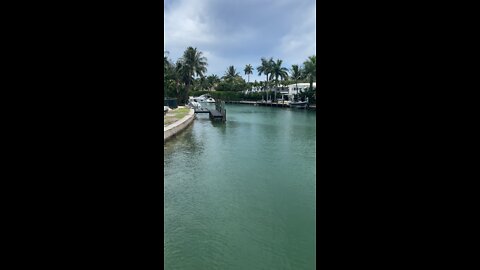 Sunset Island 1 Miami Beach - Driving Miami