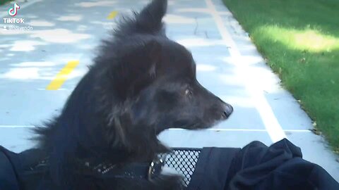 Me taking Max down the old trail in 2011 before it was demolished to make room for it The Gathering Place.