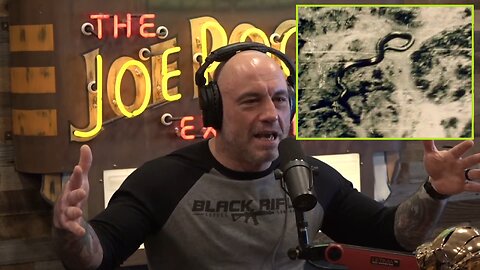 Joe Rogan & Forrest Galante - The Myth of Giant Anaconda's in the Amazon