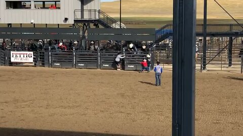 Bronc Ride at Rodeo