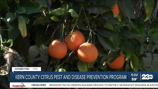 Kern County citrus pest and disease prevention program