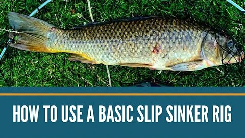 How To Use A Basic Slip Sinker Rig : River Fishing For Carp Perch And Panfish