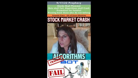 Stocks Plummet, Bots & Algorithms Fail, Promotion, Pruning prophecy - Amanda Grace 9/13/22