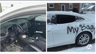 Royal Oak police investigating neighborhood vandalism, thefts