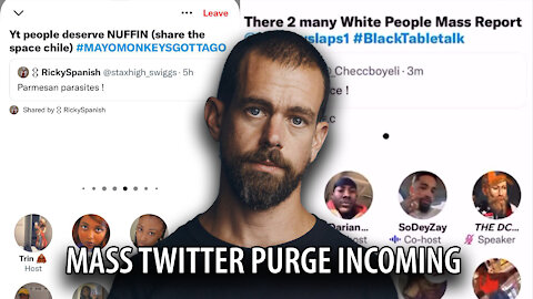 Mass Twitter Purge Incoming as Jack Dorsey is REPLACED by New Anti White CEO