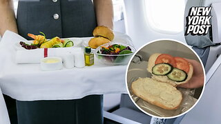 Airline slammed for 'sad' vegetarian meal in viral Reddit post
