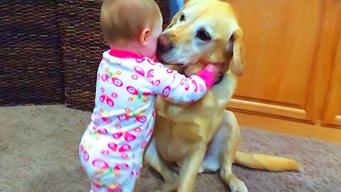 🔴[LIVE] Funny Babies Playing with Dogs Compilation - Funny Baby and Pets || Cool Peachy