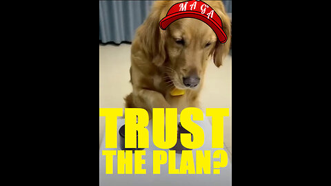 TRUST THE PLAN??? THE GOOD, THE BAD AND THE UGLY.