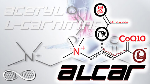 ALCAR: Mitochondria-empowering anti-aging Nootropic for Biohacking hepatic encephalopathy