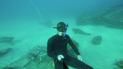 Diver chills out with friendly seals on ocean floor