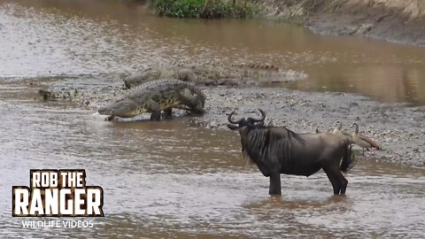 Abandoned River Crossing | Maasai Mara Safari | Zebra Plains