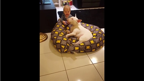 Baby shares her drink with her doggy