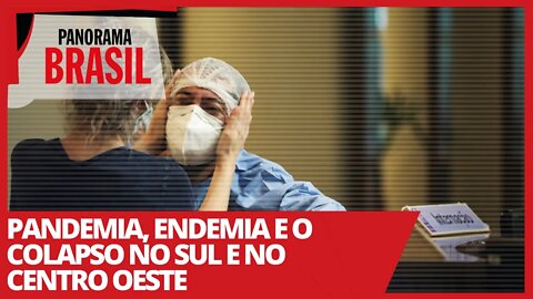 Pandemia, endemia e o colapso no Sul e no Centro Oeste - Panorama Brasil nº 489 - 02/03/21