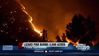 Lizard Fire torches 3,500 acres, forces dozens of evacuations