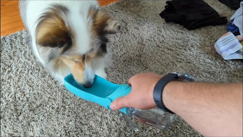 Unboxing: Wimans Foldable Dog Water Bottle, 12oz-19oz Dishwasher Safe Washable, Portable Leak Proof