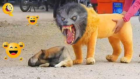 Playful Dog Pranks🐕: Hilarious Fake Lion🐅 and Tiger | Funny Dog video🐕 |Funny animal Video🐶